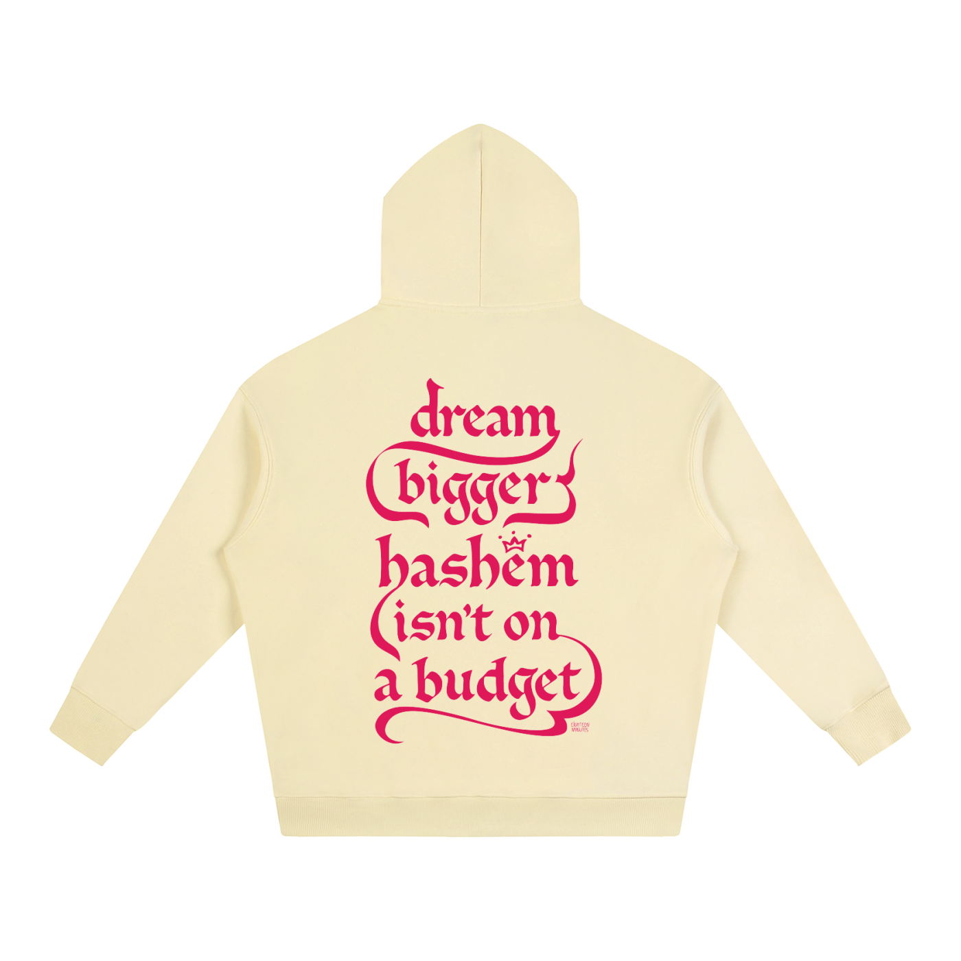 dream bigger oversized hoodie